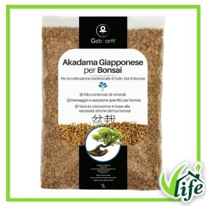 AKADAMA GIAPPONESE 1 LITRO