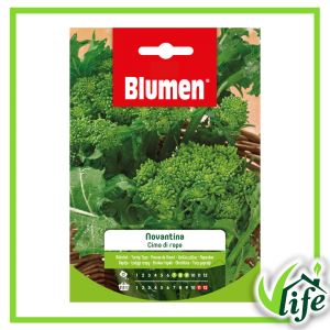 Semi di cima di rapa Novantina