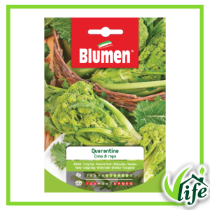 Semi di cima di rapa Quarantina