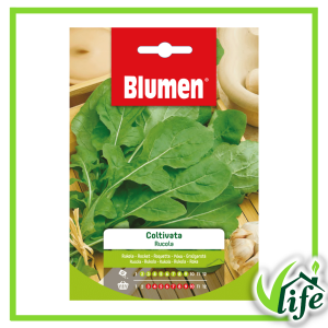 Semi di rucola Coltivata