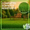 Prato sintetico English altezza 40 mm Made in Italy – tappeto erboso artificiale per giardino e terrazzo