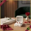 Orecchini punto luce “Cuore” con cristallo rosso