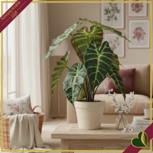 Pianta artificiale Alocasia con vaso nero, altezza 41 cm