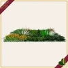 Pannello verde artificiale 3D Divy Panel Jungle multicolor, 100x100 cm
