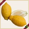 Citrus limon ‘Carrubaro’, limone 4 stagioni (rifiorente), innesto basso, vaso 20 cm, alto circa 75–105 cm