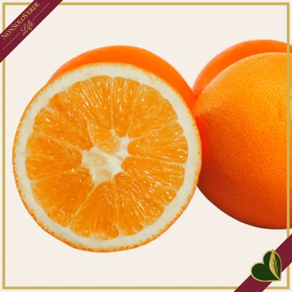 Citrus sinensis ‘Washington’, Arancio, Washington Navel, vaso 24 cm, alto circa 70–100 cm