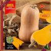 Zucca Butternut “Avalon F1”, 4 piante in vaschetta