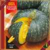 Zucca “Delica F1”, 4 piante in vaschetta
