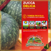 Zucca “Delica F1”, 4 piante in vaschetta