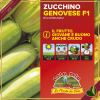 Zucchino chiaro genovese “Cigno F1”, 4 piante in vaschetta