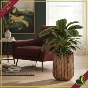 8051836799370-0 Cachepot in terracotta smaltata marrone effetto materico, altezza 54 cm