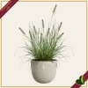 Vaso Sereh rotondo, beige fungo, diametro 59 cm