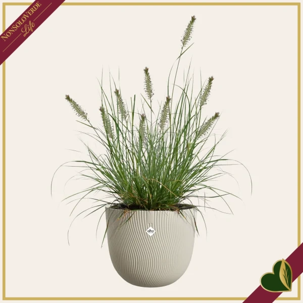 Vaso Sereh rotondo, beige fungo, diametro 59 cm