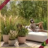 Vaso Sereh rotondo, beige fungo, diametro 59 cm