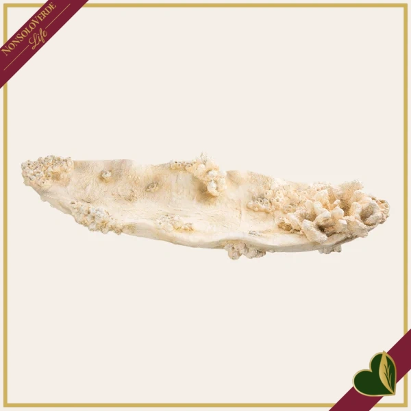 Centrotavola Seychelles in resina sintetica bianca effetto corallo color avorio, lunghezza 32 cm
