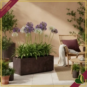 Fioriera Millennium in plastica riciclata Brownstone, lunghezza 78,5 cm