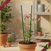 Tutori Flower Stick verdi per fiori e piante in vaso, confezione da 15 pezzi, altezza 50 cm