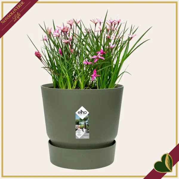 Vaso Greenville rotondo verde foglia con riserva d’acqua, diametro 24 cm