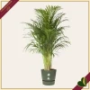 Vaso Greenville rotondo verde foglia con riserva d’acqua, diametro 39 cm
