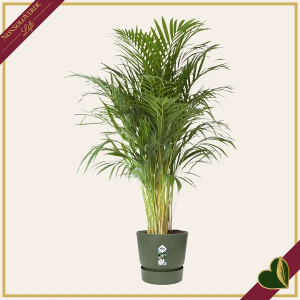 Vaso Greenville rotondo verde foglia con riserva d’acqua, diametro 39 cm