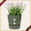 Vaso Greenville rotondo verde foglia con riserva d’acqua, diametro 14 cm
