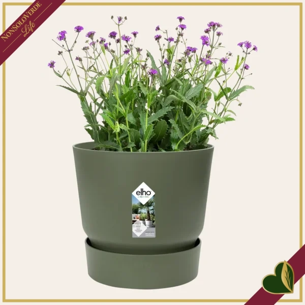 Vaso Greenville rotondo verde foglia con riserva d’acqua, diametro 14 cm