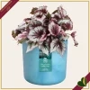 Cachepot The Ocean Collection rotondo blu atlantico da interno, diametro 22 cm