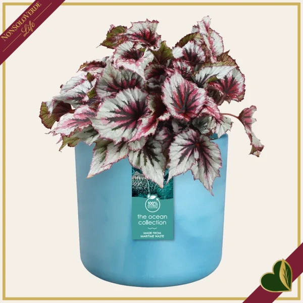 Cachepot The Ocean Collection rotondo blu atlantico da interno, diametro 22 cm
