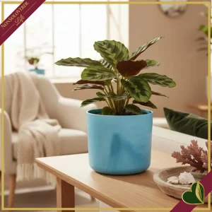 Cachepot The Ocean Collection rotondo blu atlantico da interno, diametro 18 cm