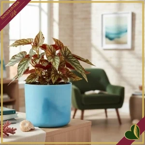 Cachepot The Ocean Collection rotondo blu atlantico da interno, diametro 22 cm