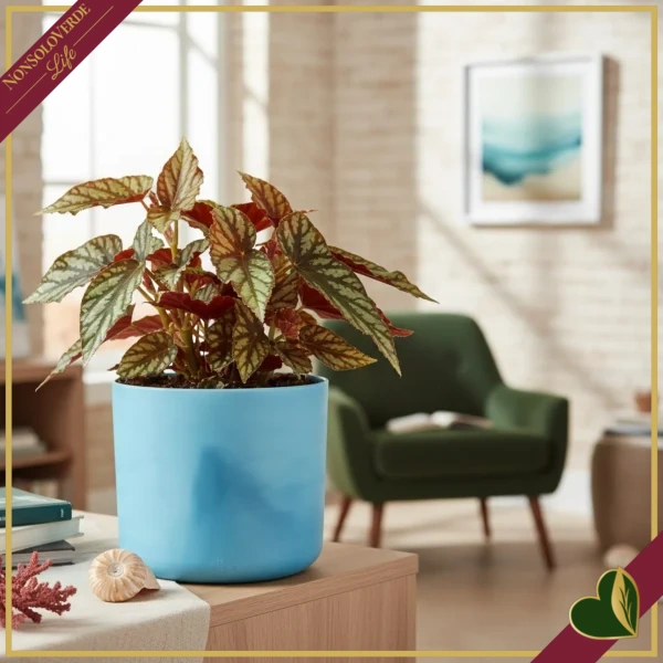 Cachepot The Ocean Collection rotondo blu atlantico da interno, diametro 22 cm