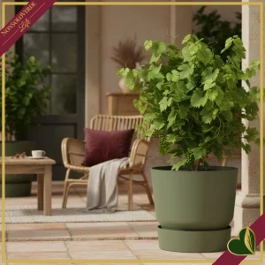Vaso Greenville rotondo verde foglia con riserva d’acqua, diametro 55 cm