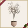 Vaso Sereh rotondo, argilla fredda, diametro 47 cm