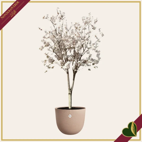 Vaso Sereh rotondo, argilla fredda, diametro 47 cm