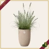 Vaso Sereh alto rotondo, argilla fredda, diametro 30 cm