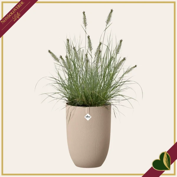Vaso Sereh alto rotondo, argilla fredda, diametro 30 cm