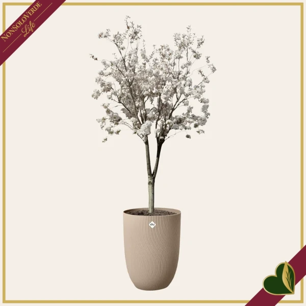 Vaso Sereh alto rotondo, argilla fredda, diametro 39 cm