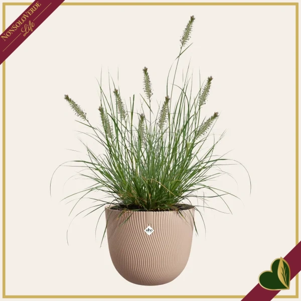 Vaso Sereh rotondo, argilla fredda, diametro 25 cm