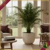 Vaso Sereh rotondo, beige fungo, diametro 59 cm