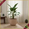 Vaso Sereh rotondo, argilla fredda, diametro 59 cm