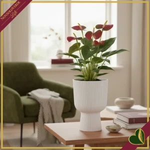 8711904552626-0 Cachepot vibes fold coppa bianco lino da interno, diametro 14 cm