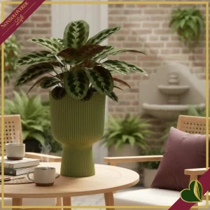 8711904552657-0 Cachepot vibes fold coppa verde felce da interno, diametro 14 cm