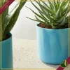 Cachepot The Ocean Collection rotondo blu atlantico da interno, diametro 22 cm