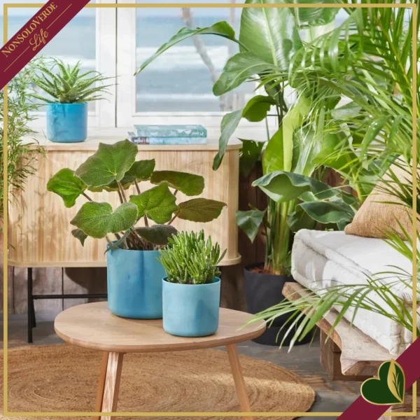 Cachepot The Ocean Collection rotondo blu atlantico da interno, diametro 22 cm