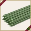 Tutore in acciaio plastificato verde 16 mm, altezza 210 cm