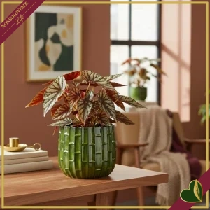 Cachepot in ceramica smaltata verde effetto bamboo, diametro 22,5 cm