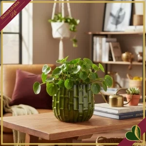 Cachepot in ceramica smaltata verde effetto bamboo, diametro 18 cm