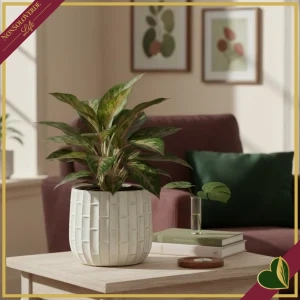 Cachepot in ceramica smaltata bianco avorio effetto bamboo, diametro 18 cm
