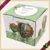 Zuccheriera Wonderland in New Bone China con mongolfiere acquerellate, lunghezza 10 cm