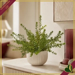 Cespuglio di Sedum artificiale verde, altezza 40 cm